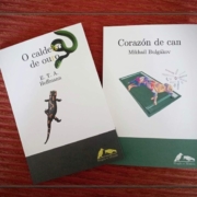 imaxe novxullo2025 hem